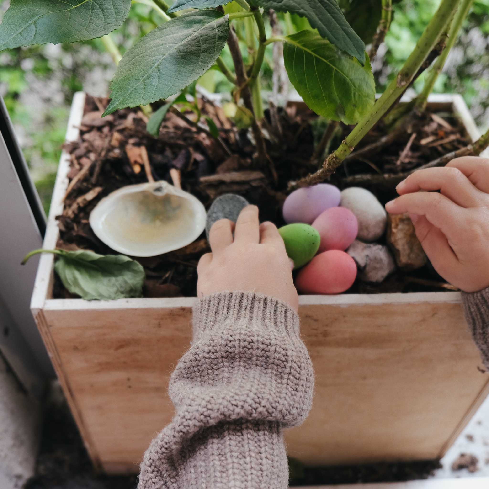 Grapat-Happy-Eggs-In-Plant-Box