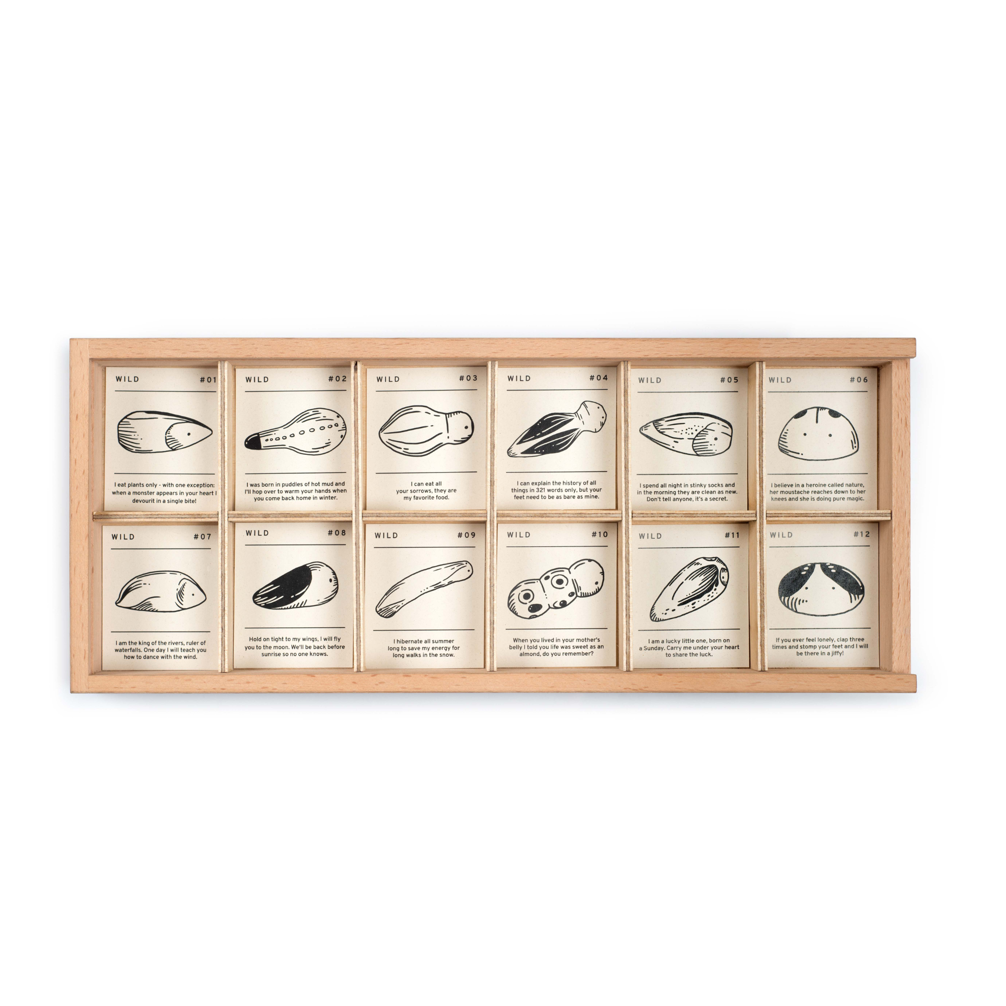 Tray for Grapat Wild- 12 Wooden Creatures with Sorting Tray