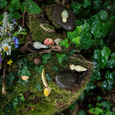 Grapat Wild Wooden Set Pieces in Nature