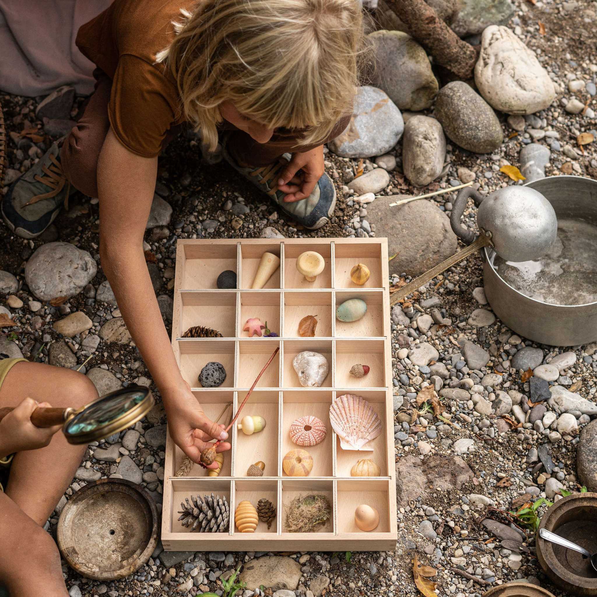 Grapat Wonders Set-12 Wooden Botanical Wonders On Beach