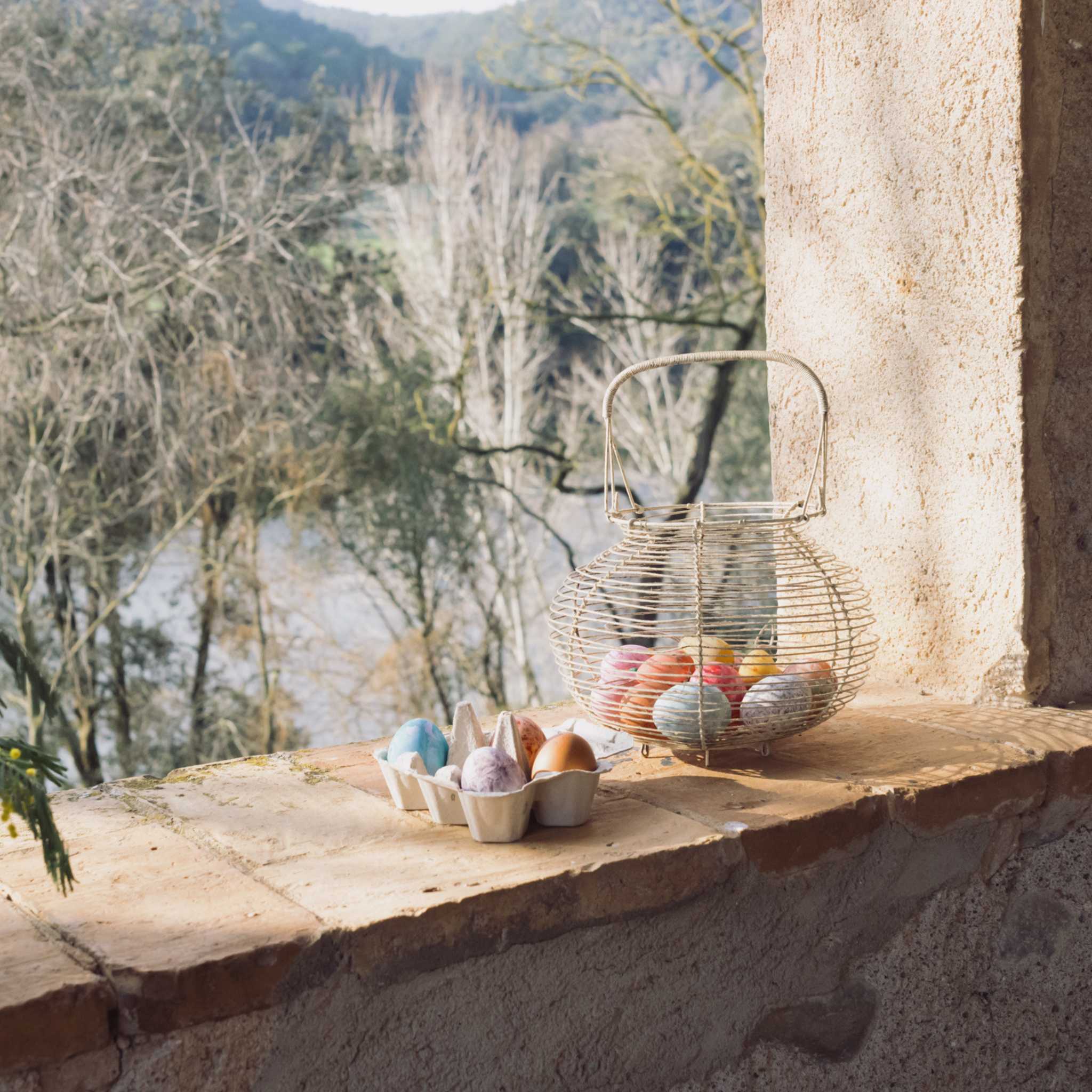 Grapat Sunrise Eggs -On Sunny Windowsill