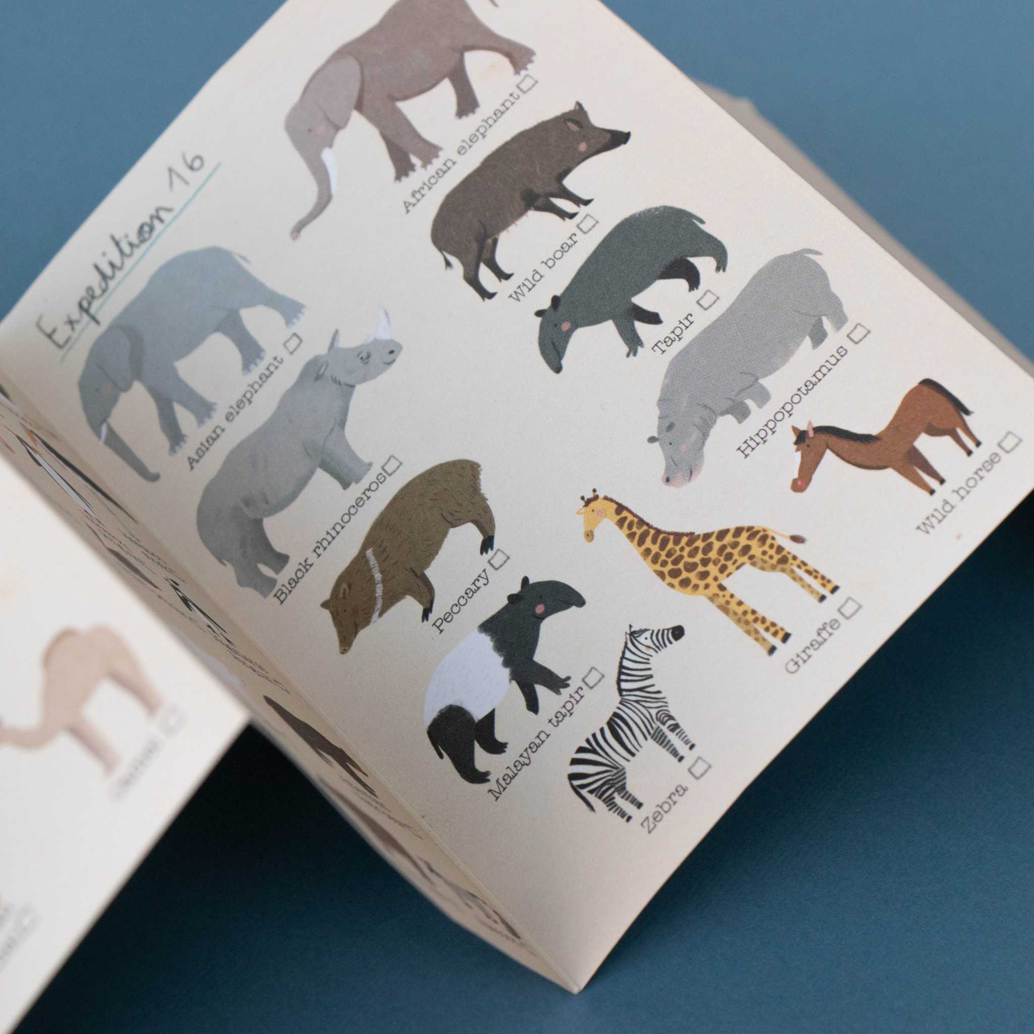 Londji Animal Jigsaw - Leaflet Details