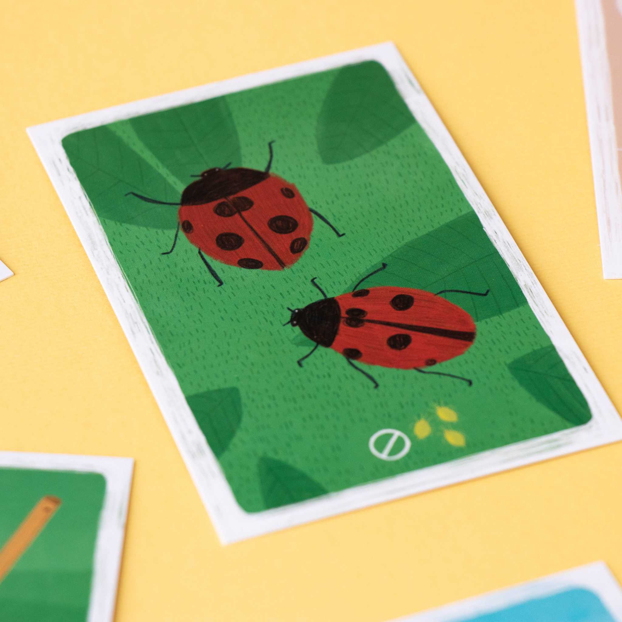 Londji Grow Up Game Up Close Ladybird Card
