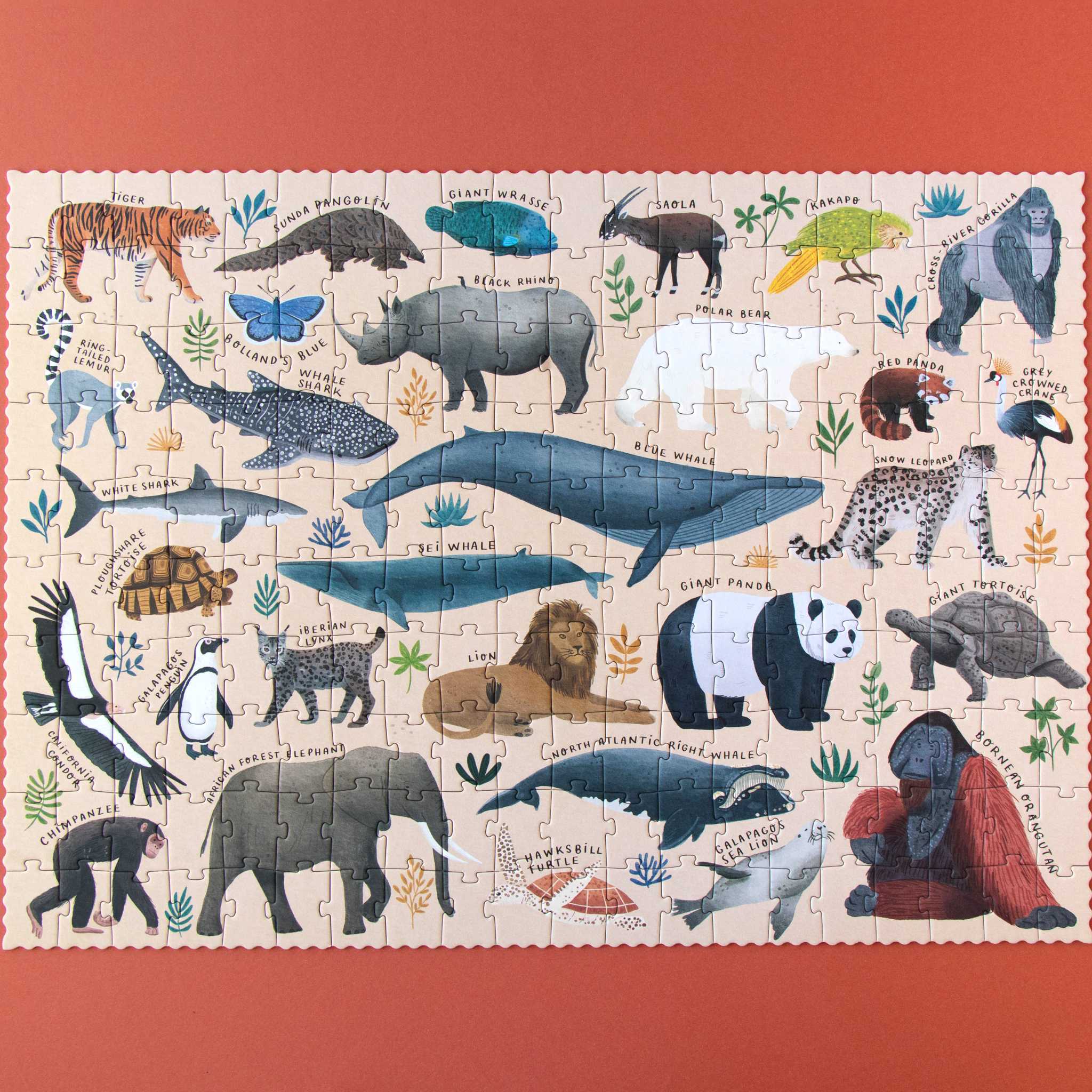 Londji Life Jigsaw - Complete Puzzle