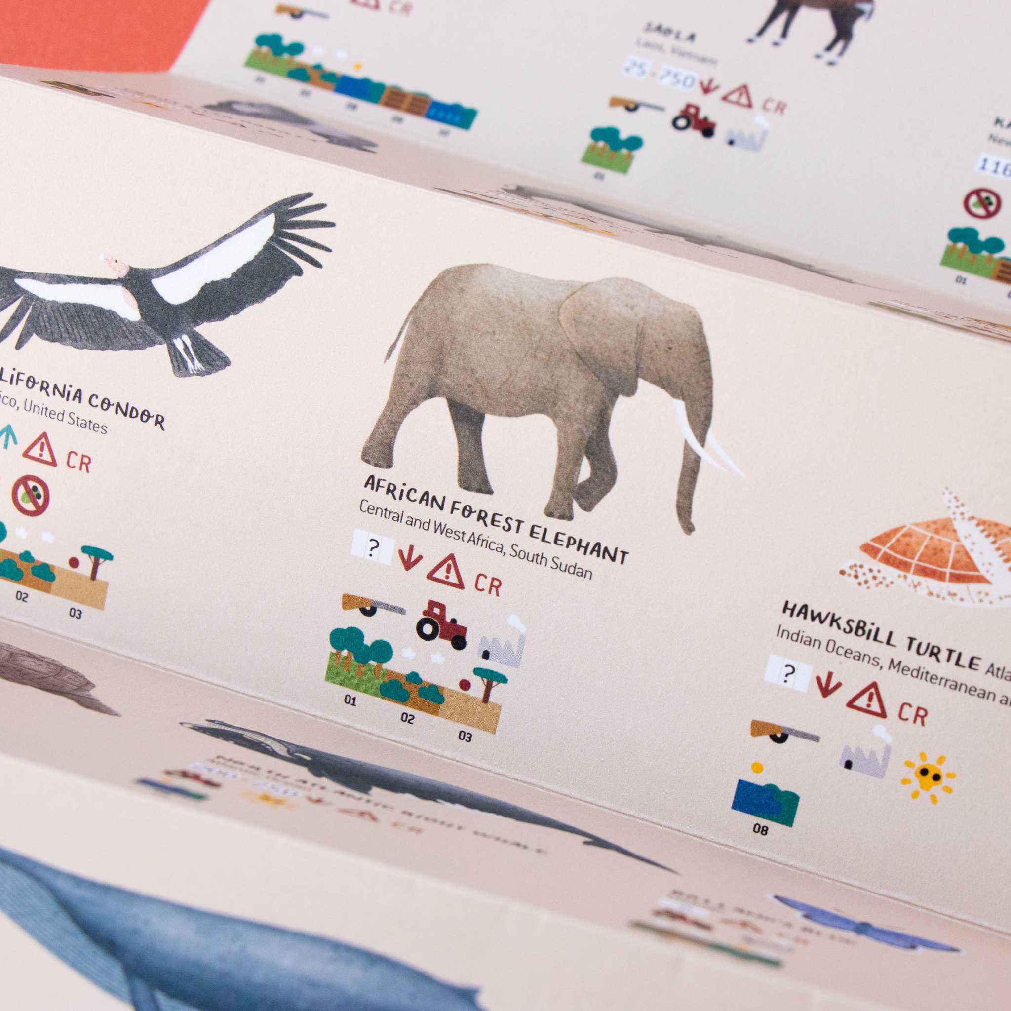 Londji Life Jigsaw - Leaflet Detail