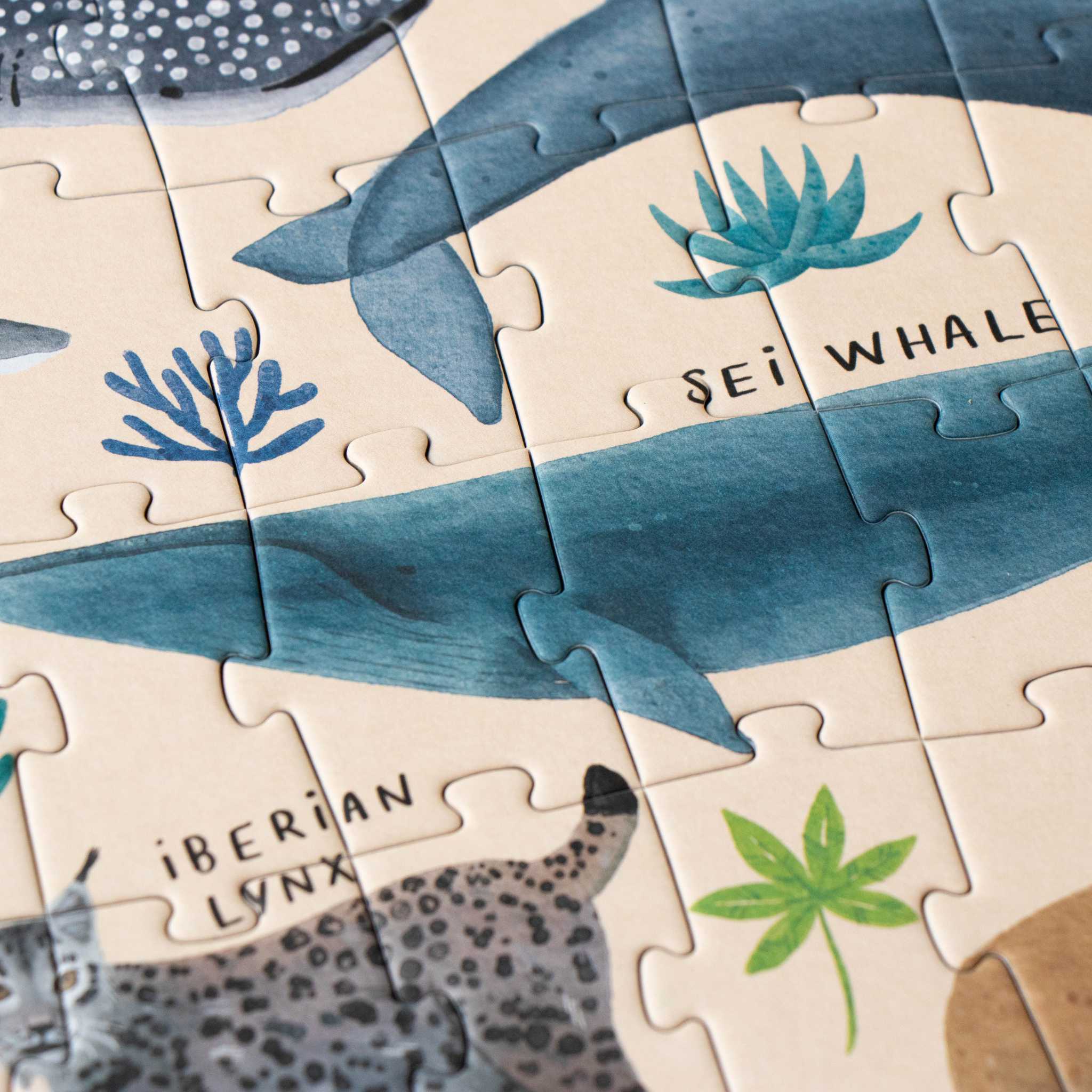 Londji Life Jigsaw - Whale Detail