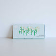 Mizuiro Rice Crayons 16 Pack Packaging