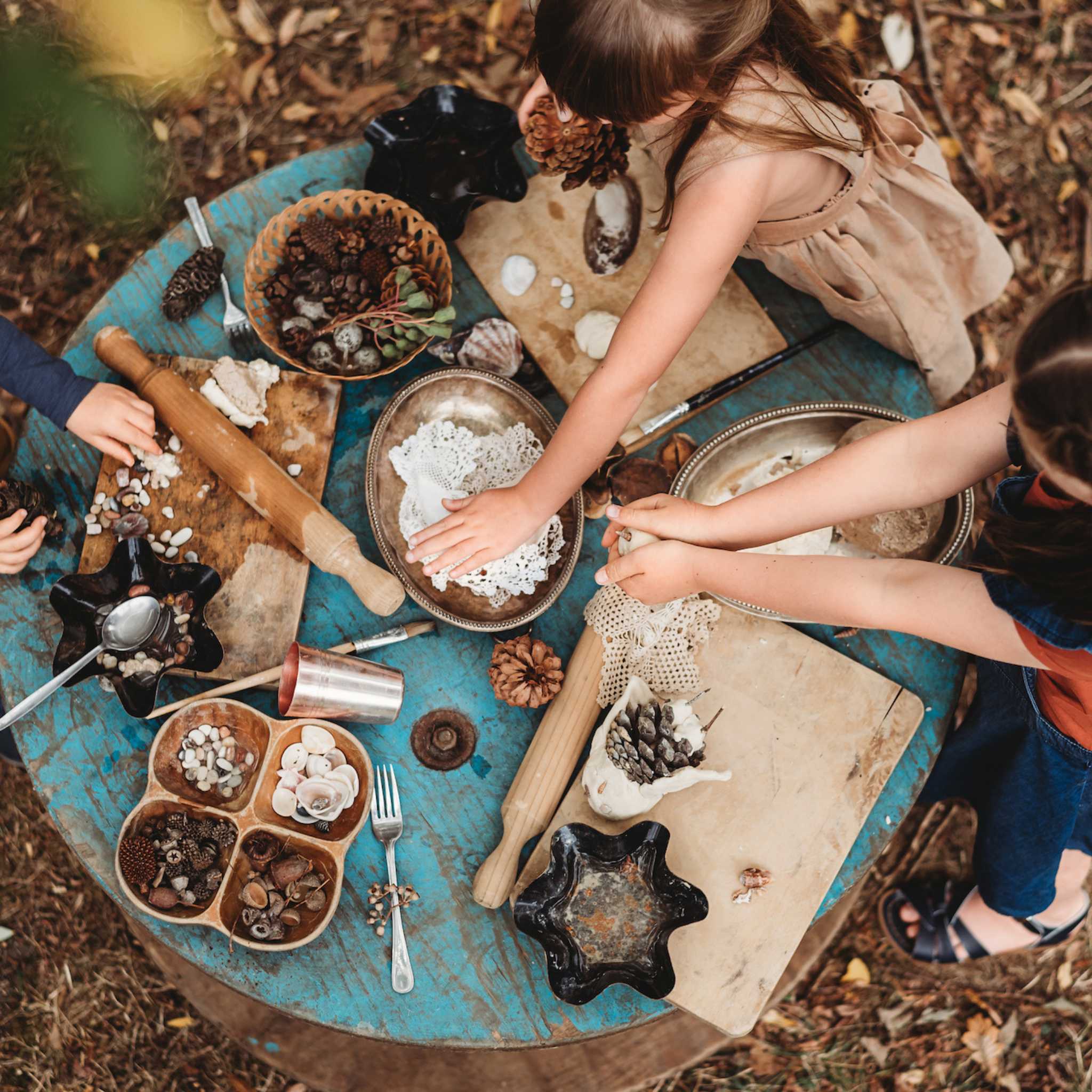 Your Wild Books Wild Imagination Book - Nature Table