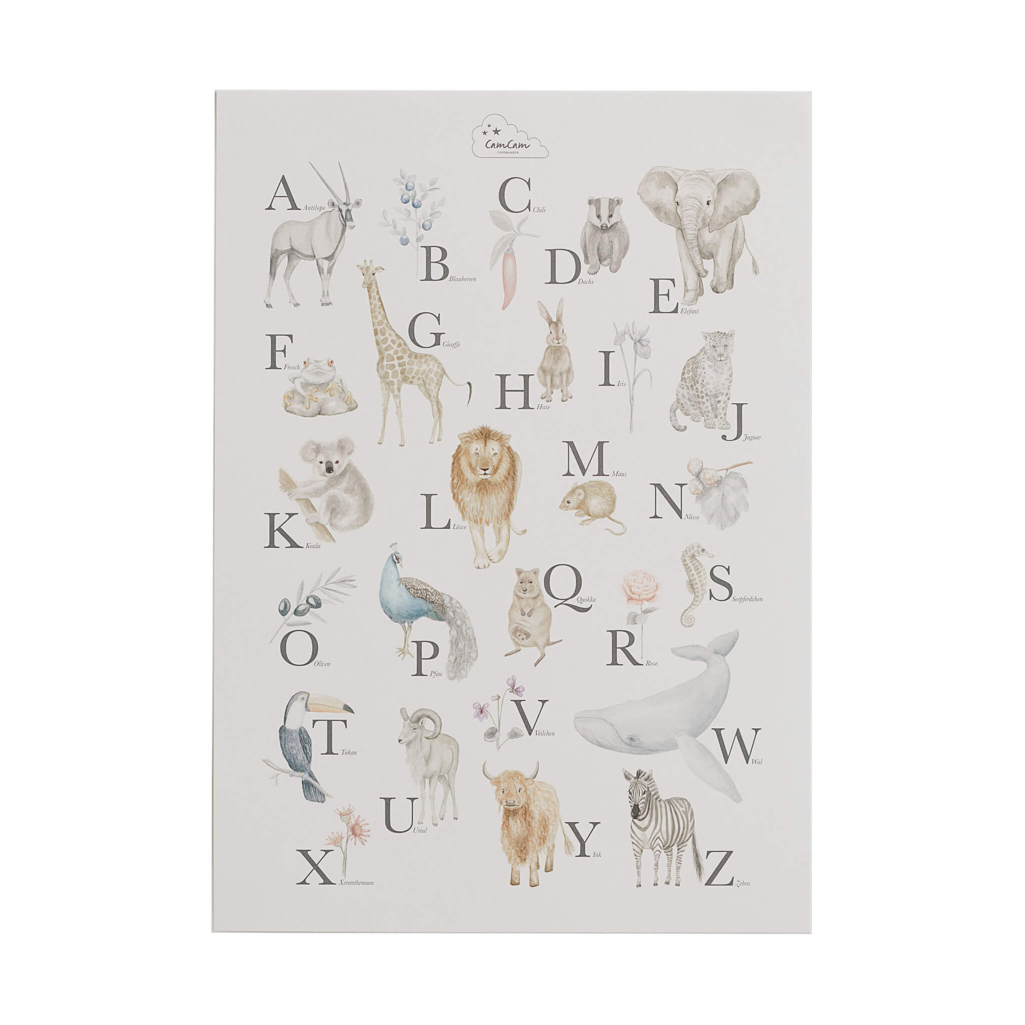 Cam Cam Copenhagen Alphabet Print for Nursery in German