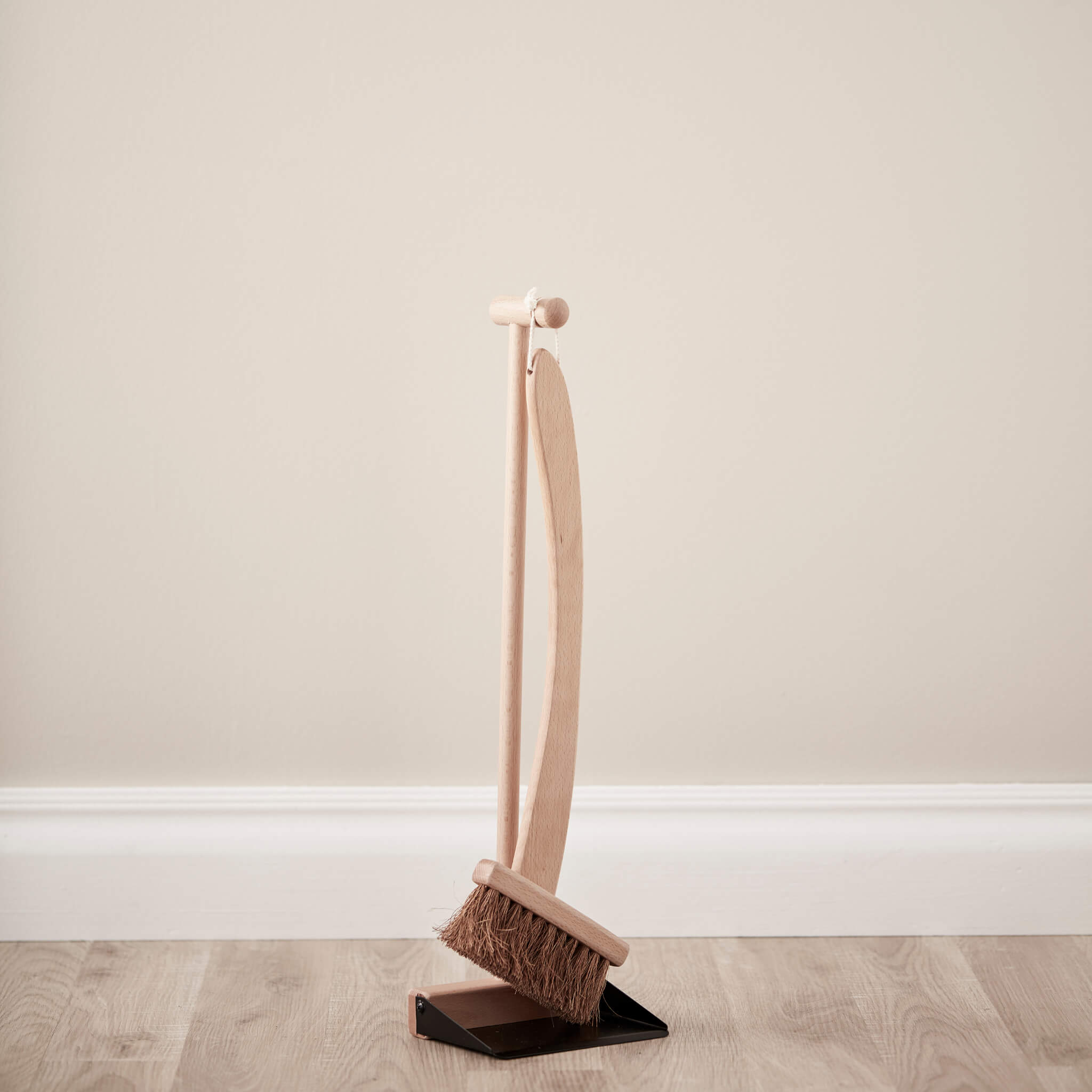 Dust Pan & Brush