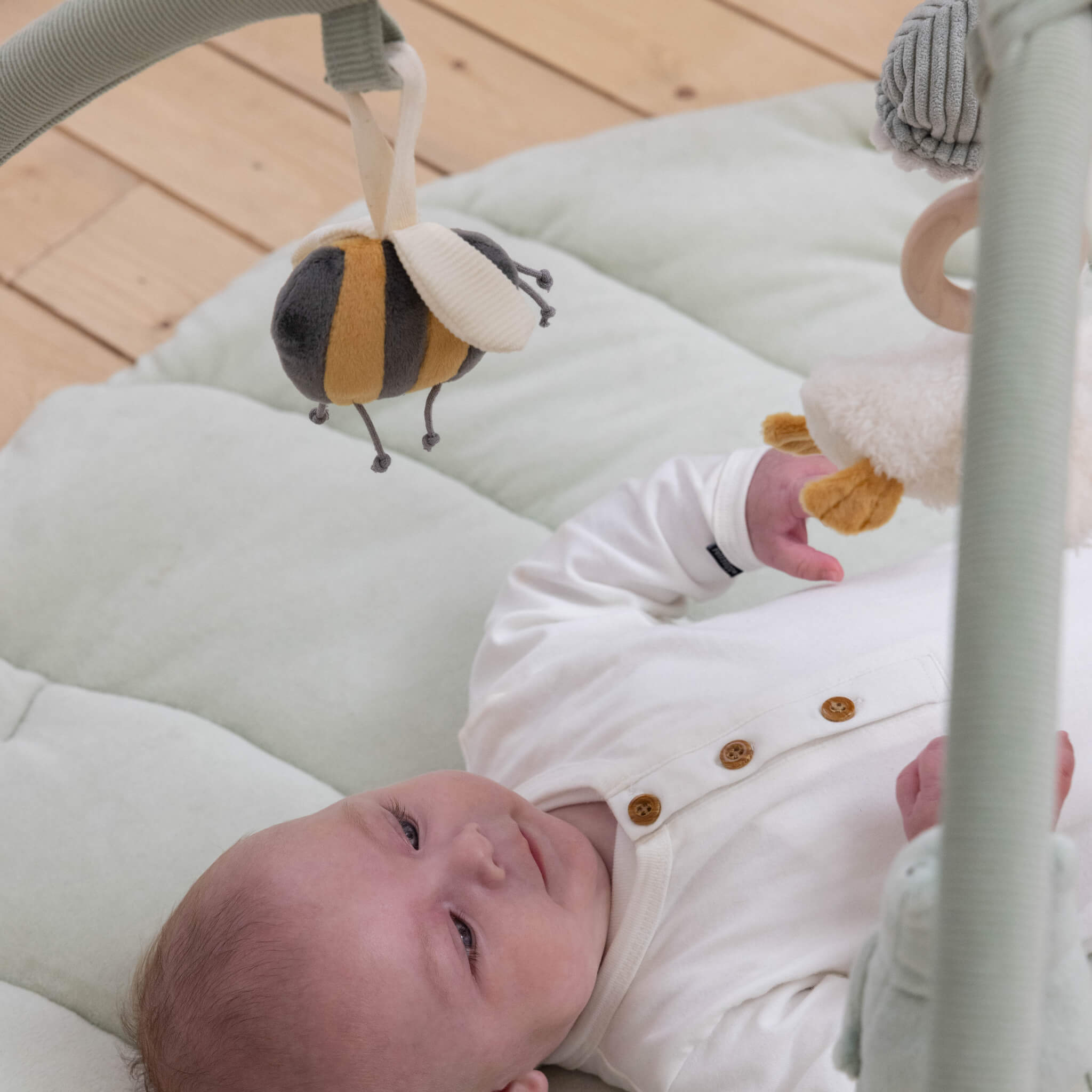 Baby Playing with Little Activity Play Mat Arch - Little Goose