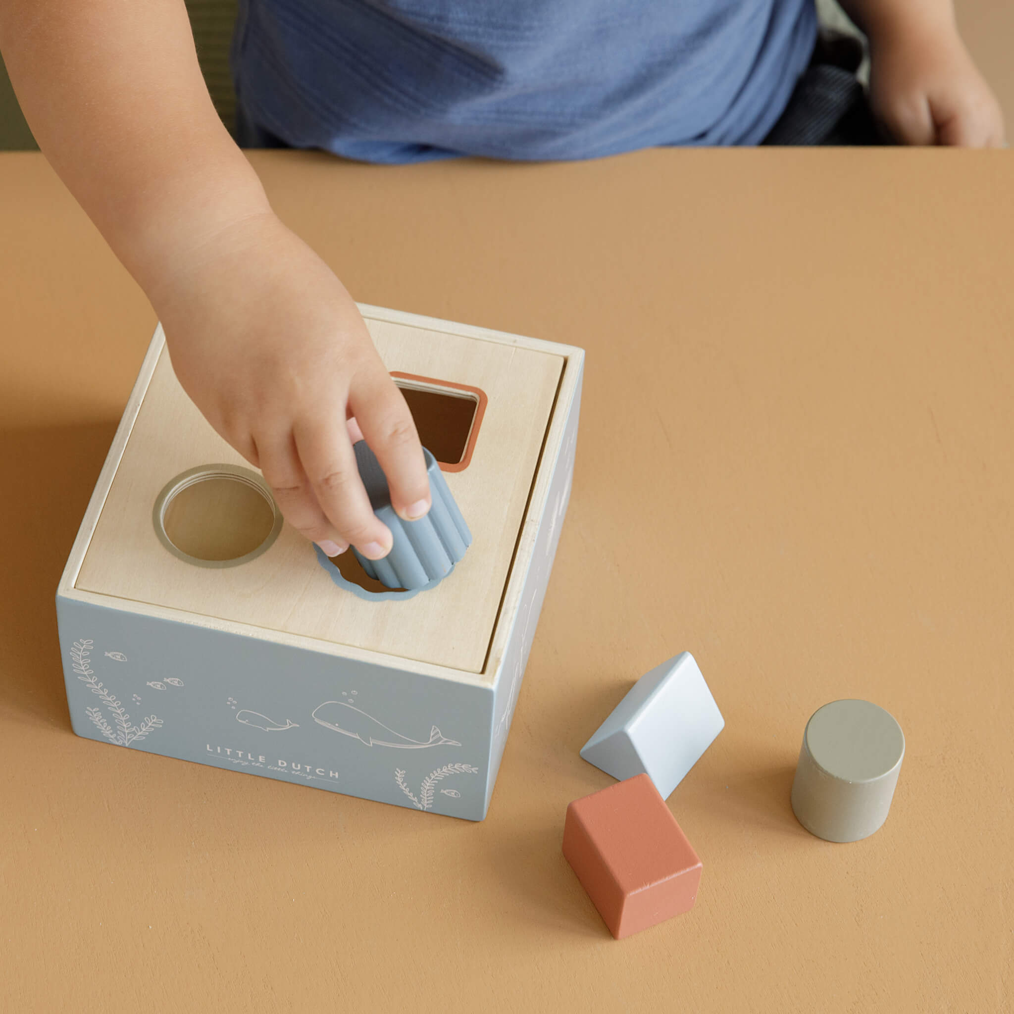 Little Dutch Shape Sorter in Ocean