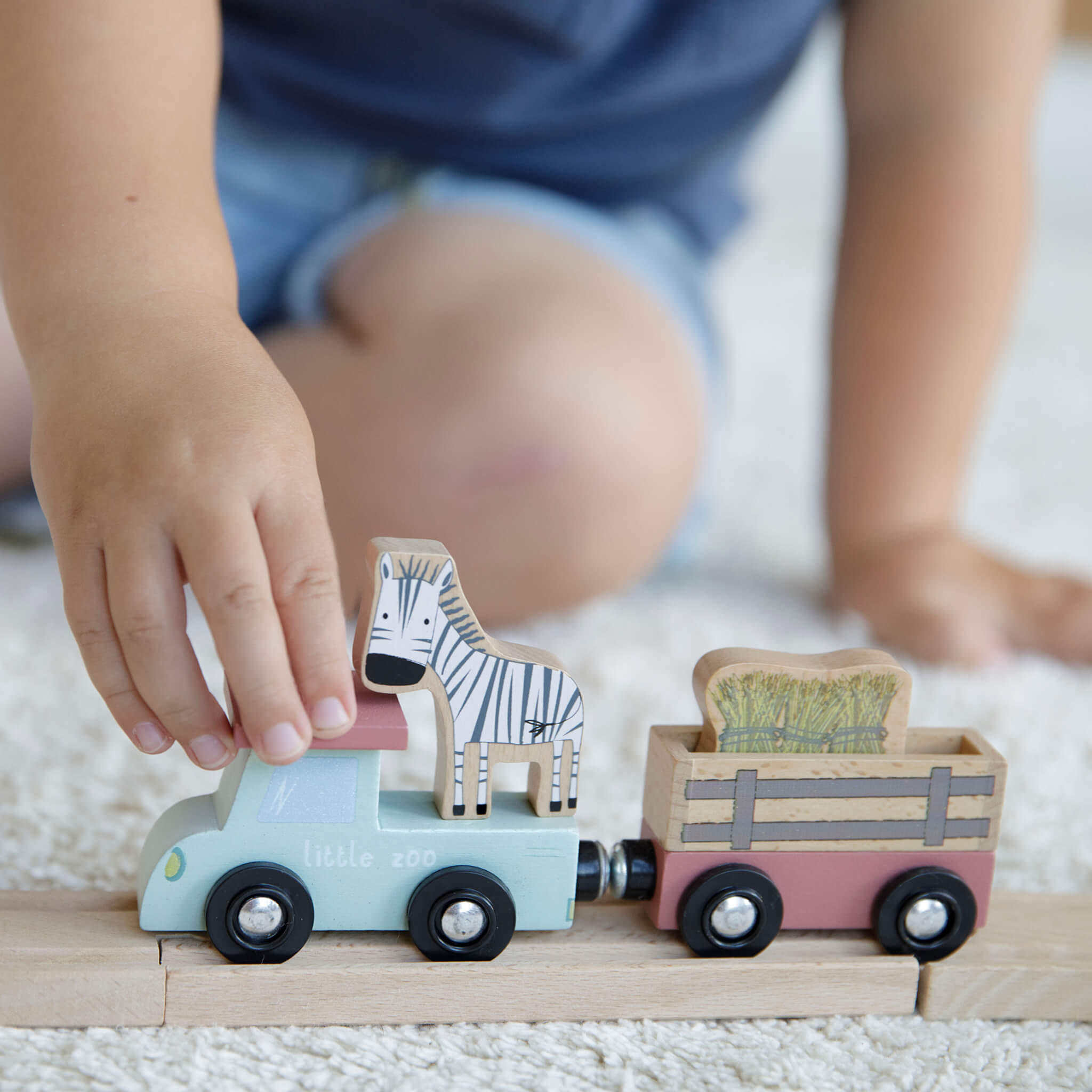 Little Dutch Wooden Railway Zoo