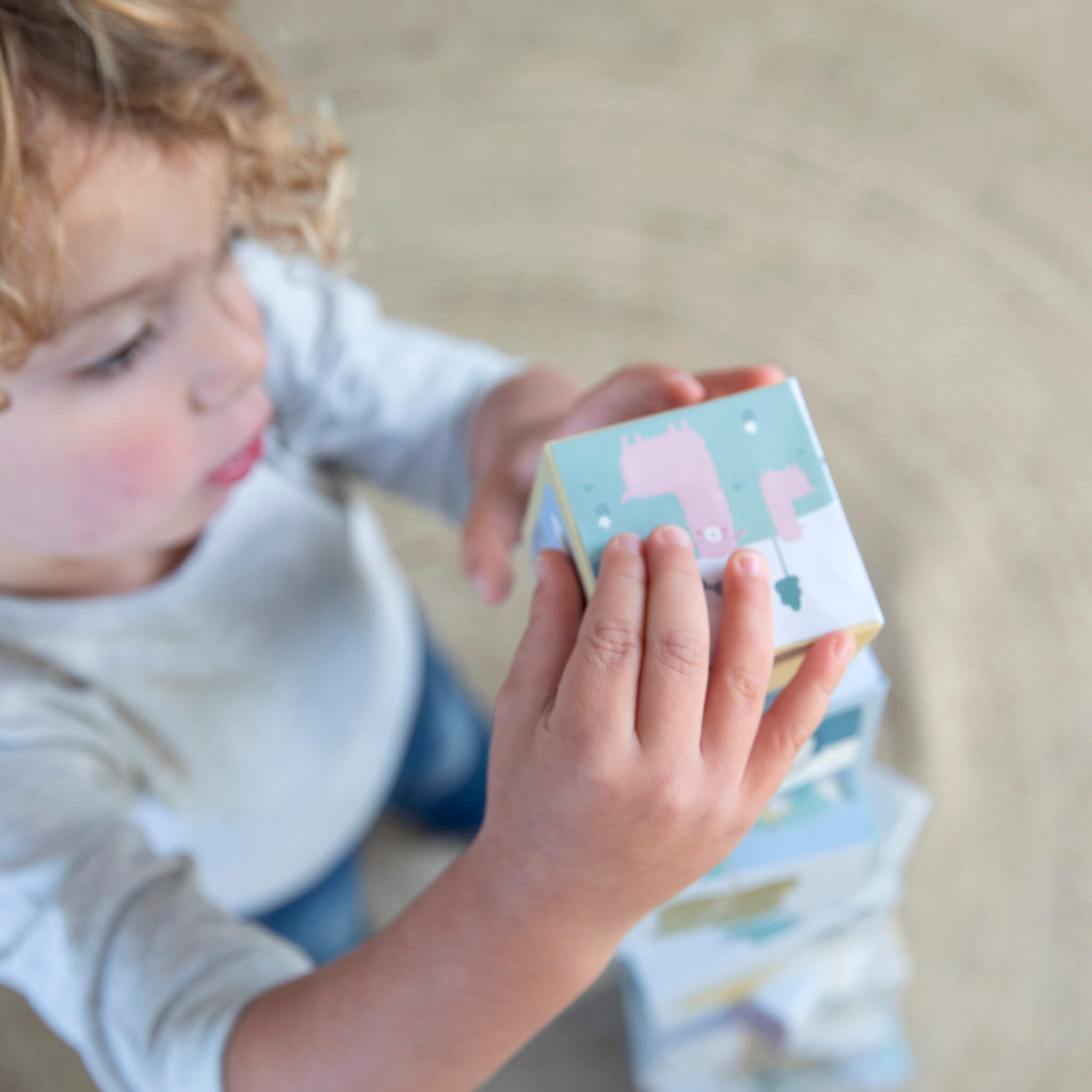 Little Dutch Zoo Stacking Cubes, Stacking & Sorting