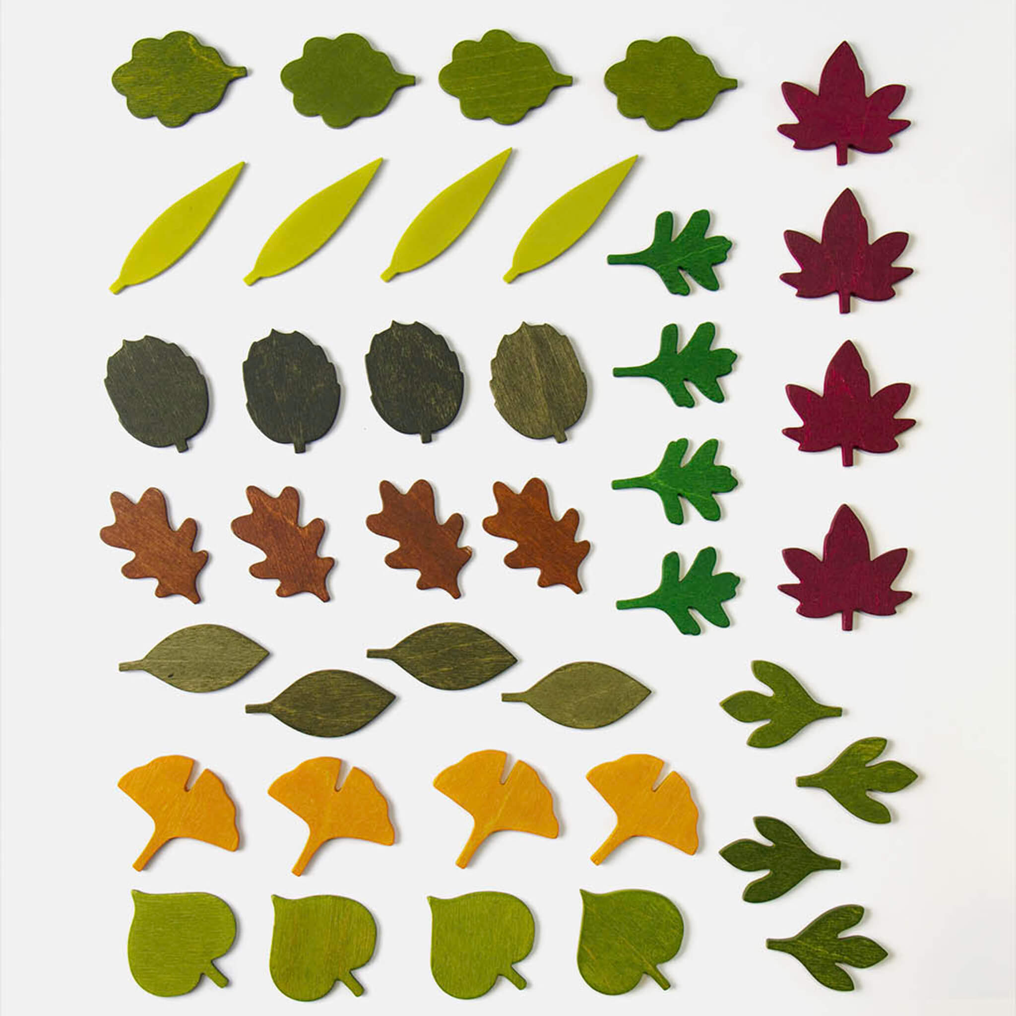 Woodland Leaves