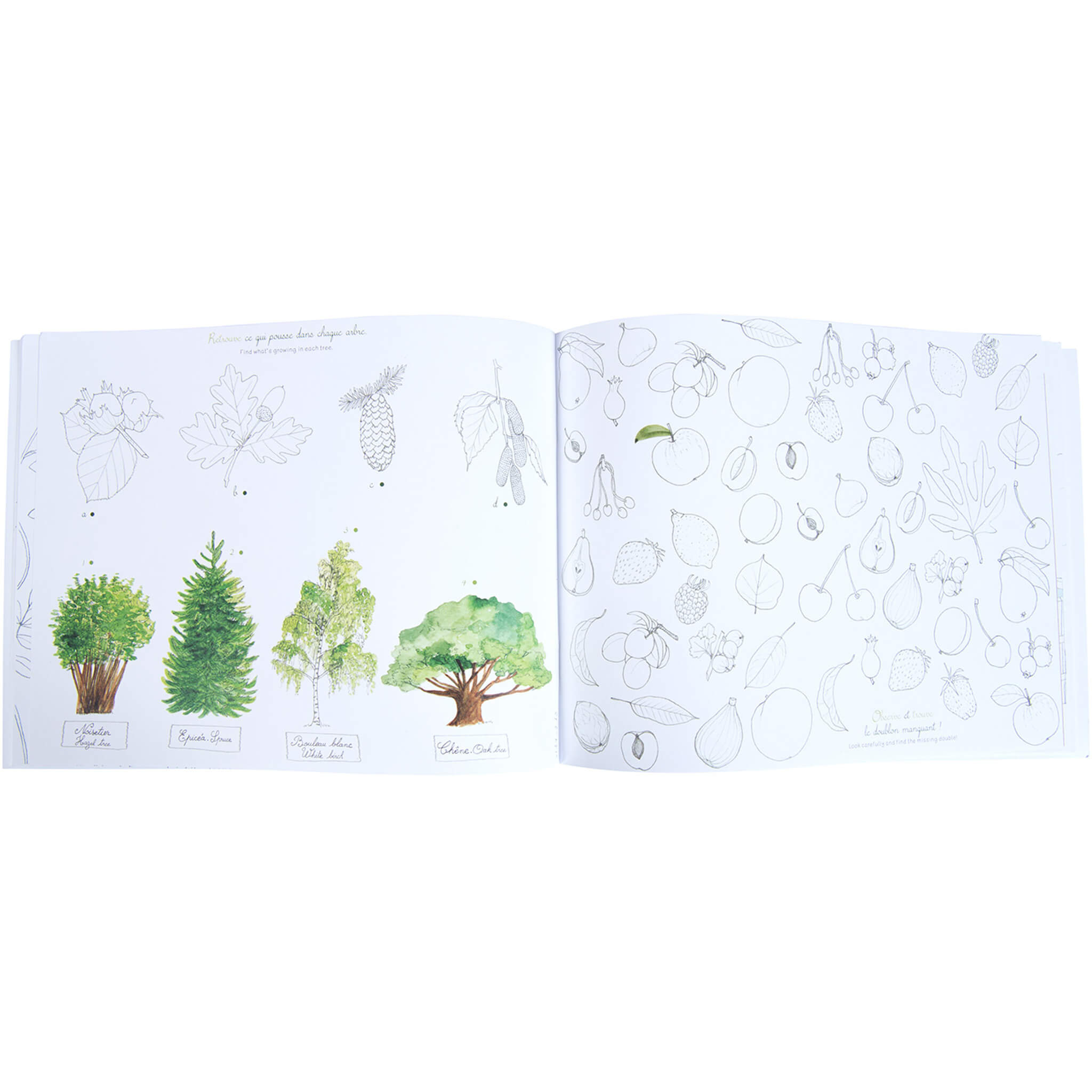 Activity Booklet - Le Jardin