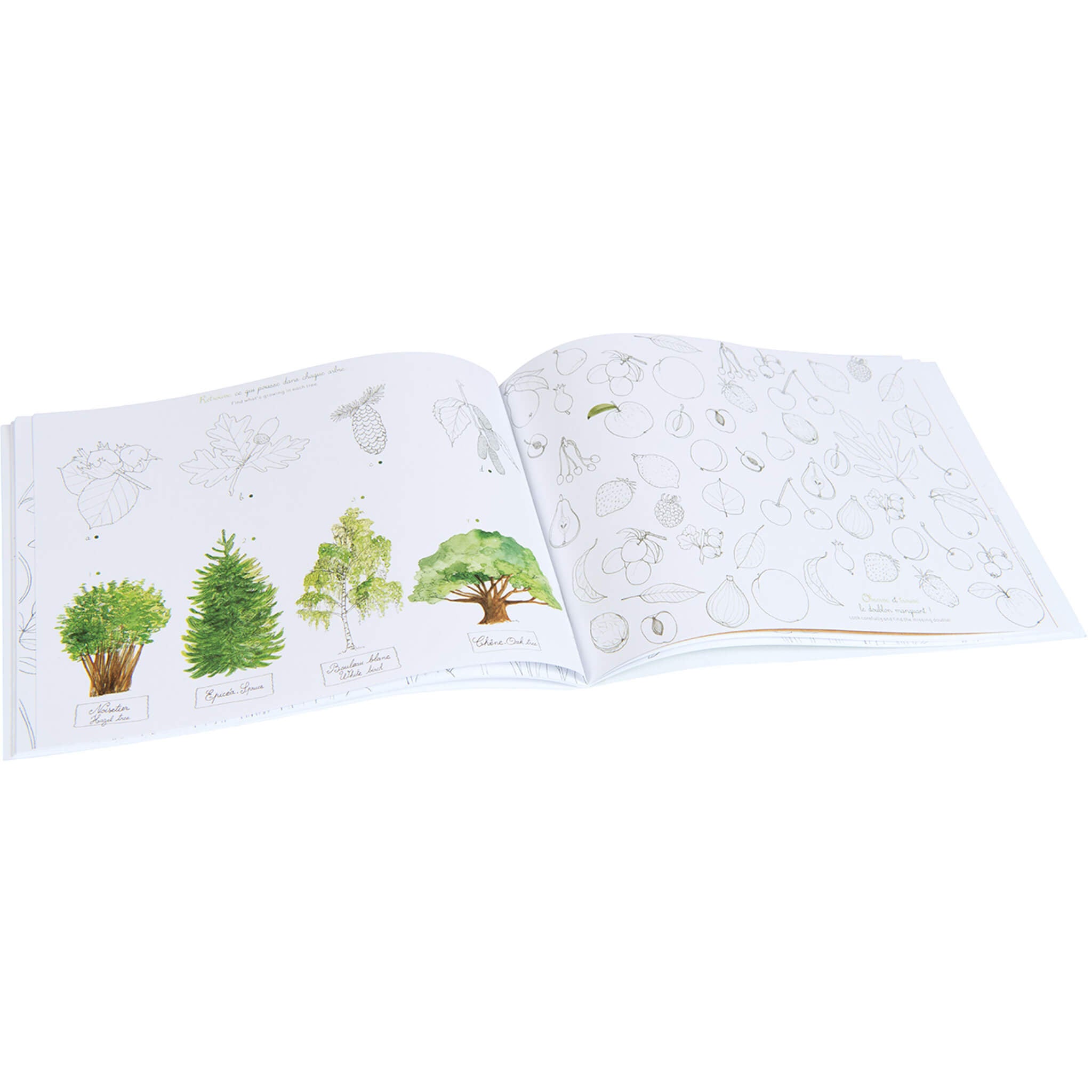 Activity Booklet - Le Jardin