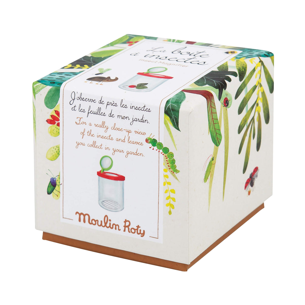Insect Box