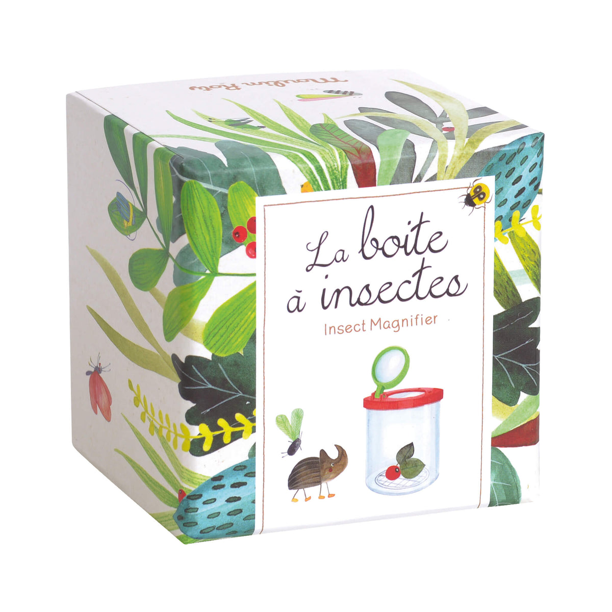 Insect Box