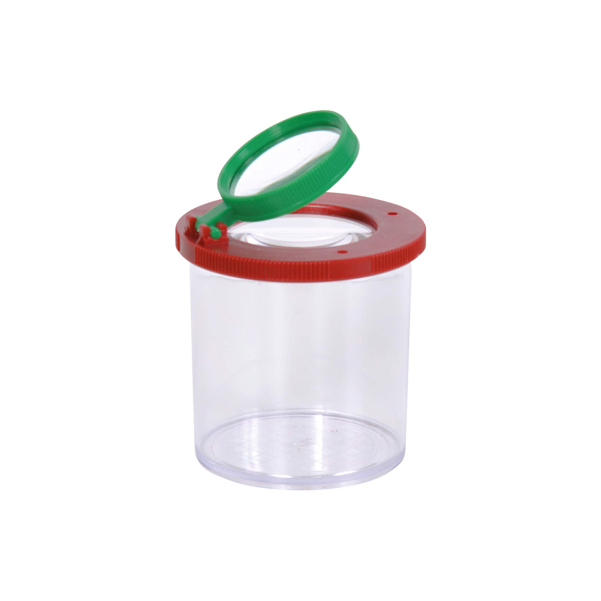 Insect Box