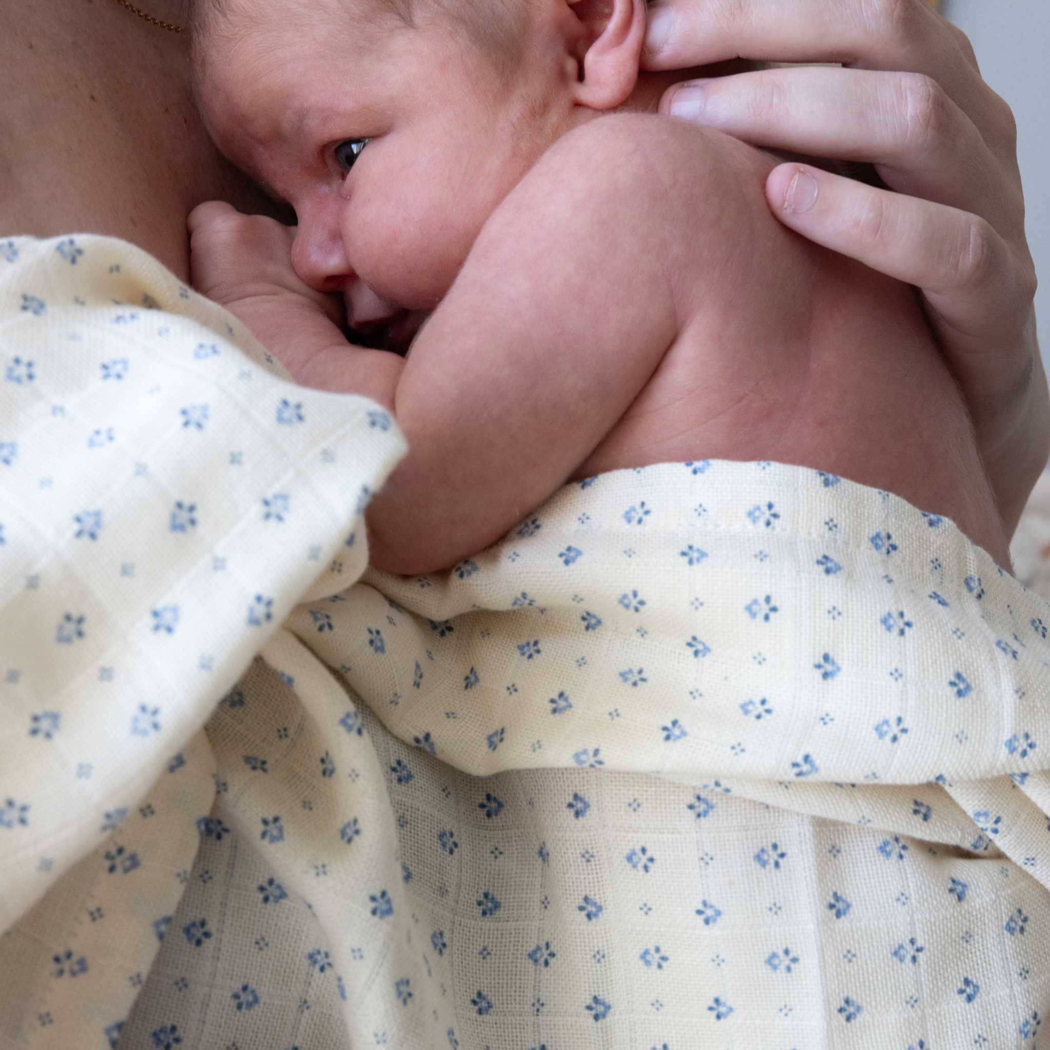 Baby Wrapped In Cam Cam Capri Muslin Cloths 