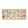 Grapat Wild- 12 Wooden Creatures with Sorting Tray Pieces In Tray