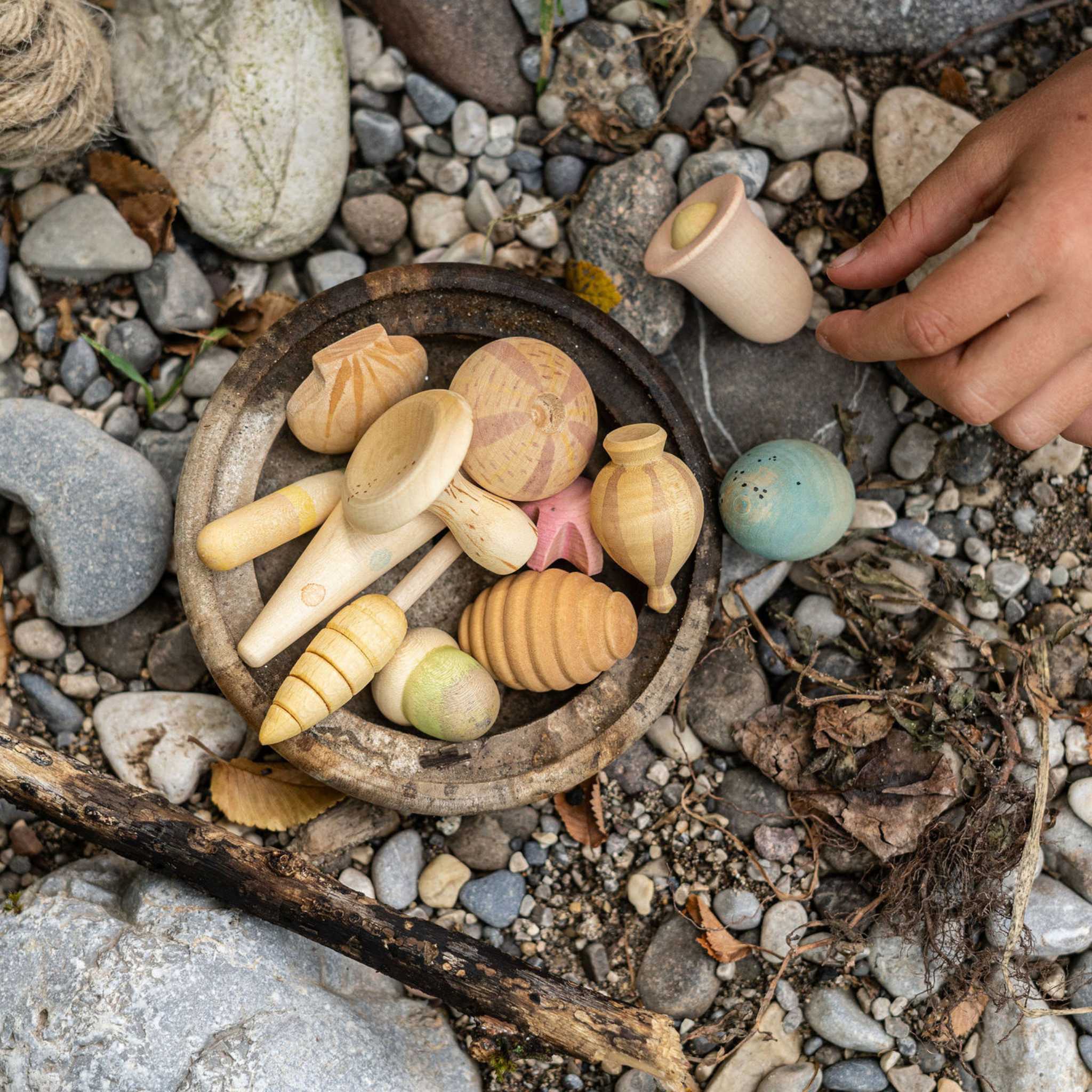 Grapat Wonders Set-12 Wooden Botanical Wonders Collection on Beach