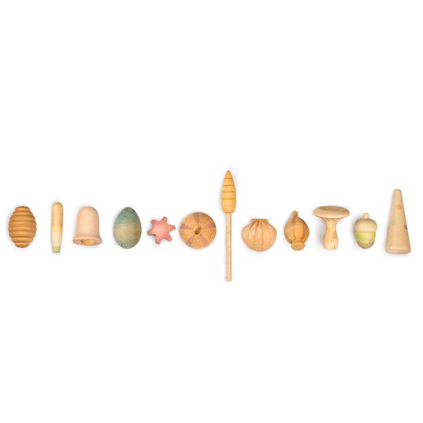 Grapat Wonders Set-12 Wooden Botanical Wonders