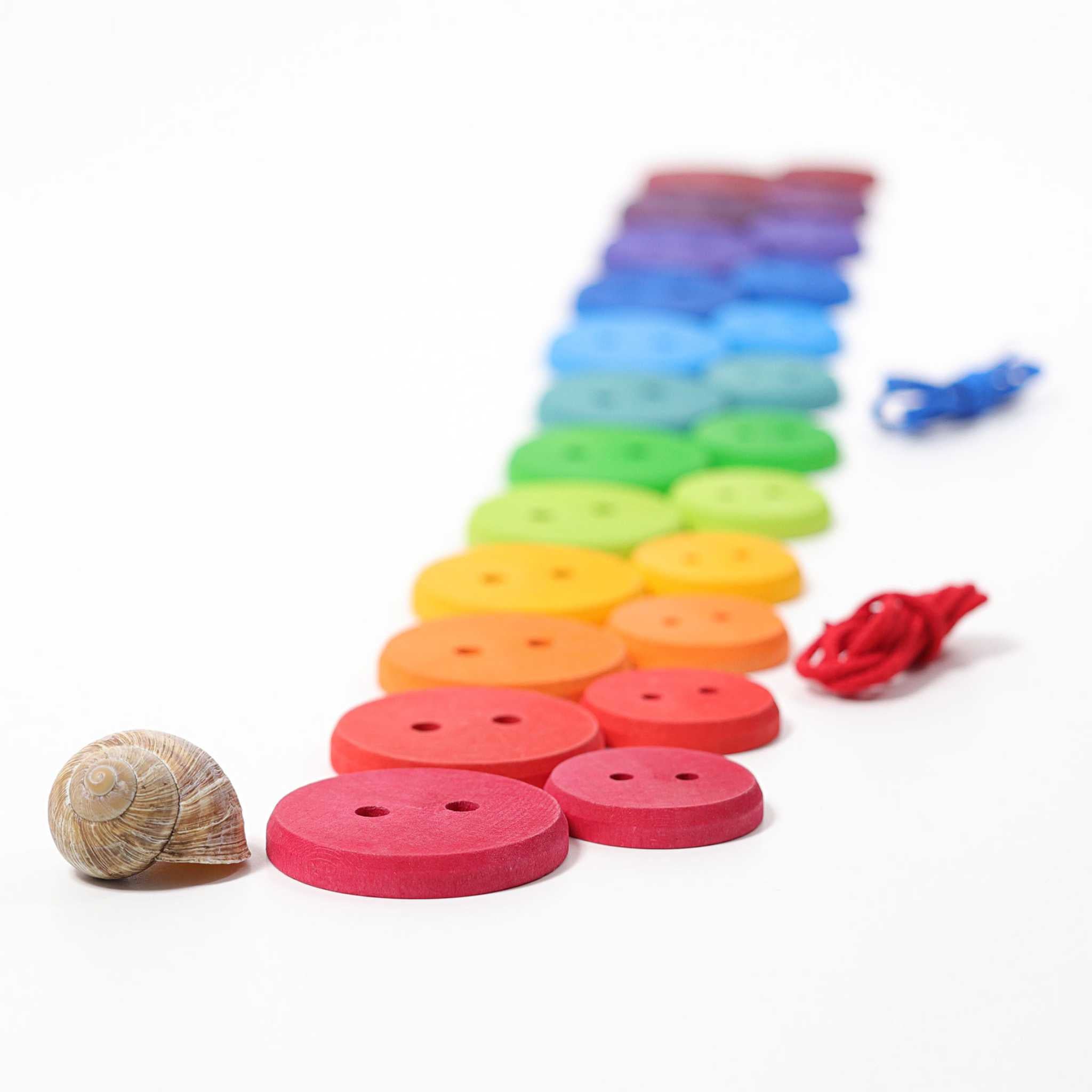 Grimm's Rainbow Large Wooden Buttons Large & Small Lined Up