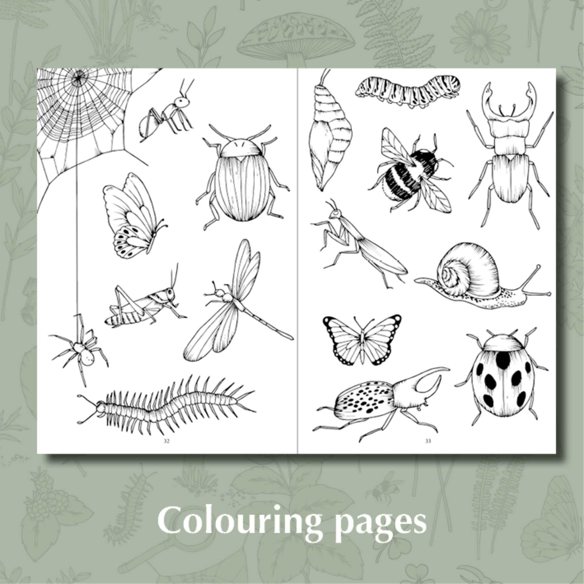 My First Wild Activity Book - Colouring Pages