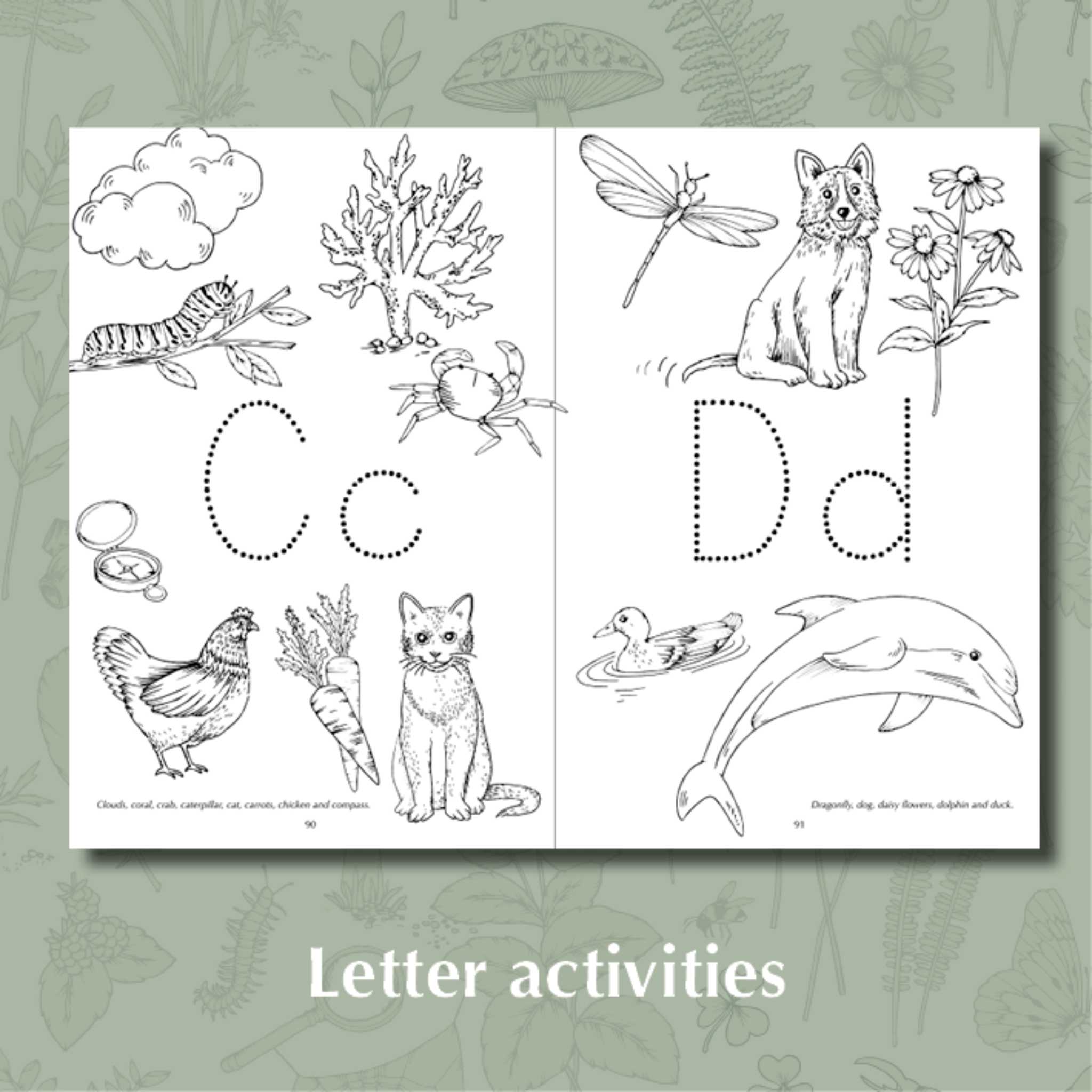 My First Wild Activity Book - Letter Activities