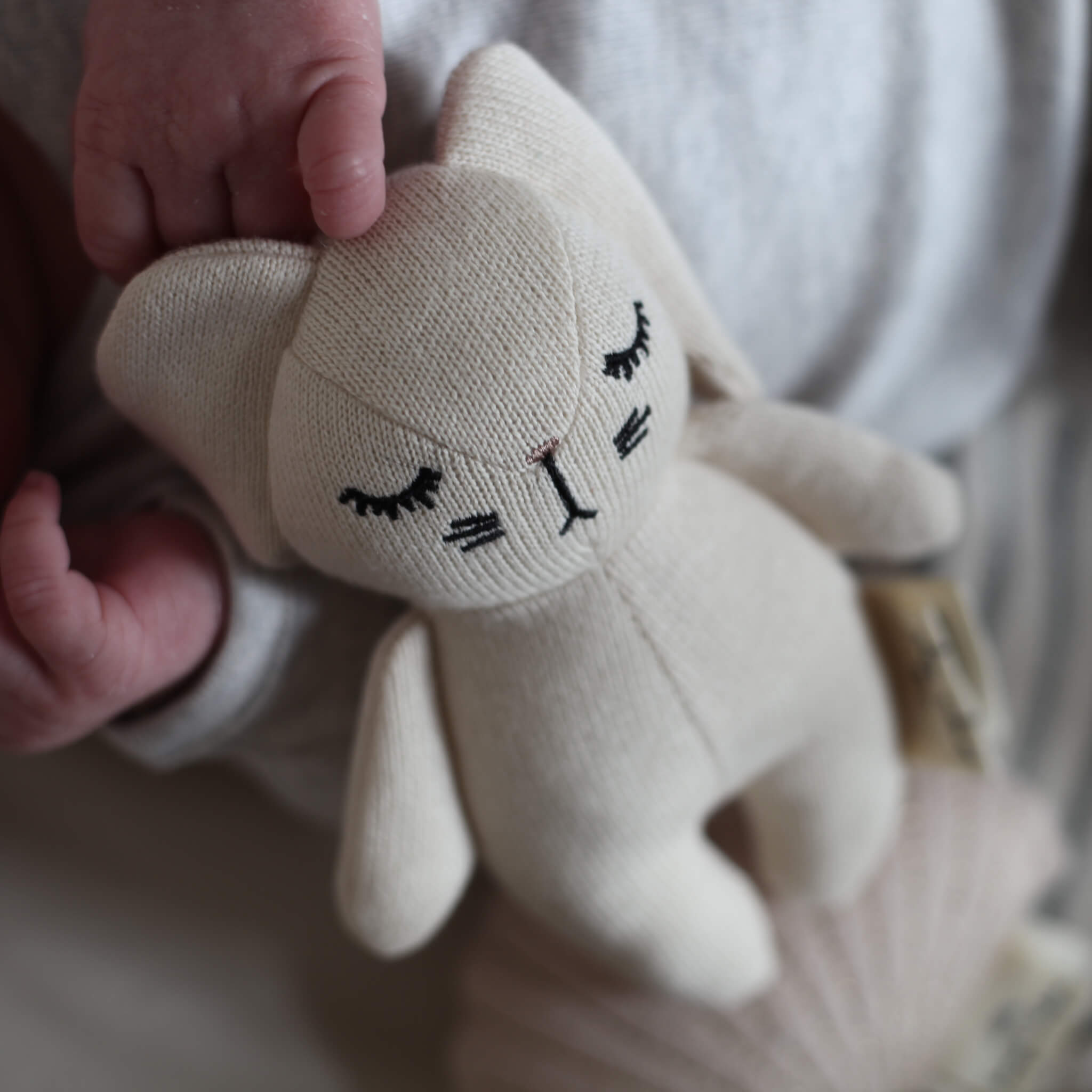 Mini Rabbit Rattle