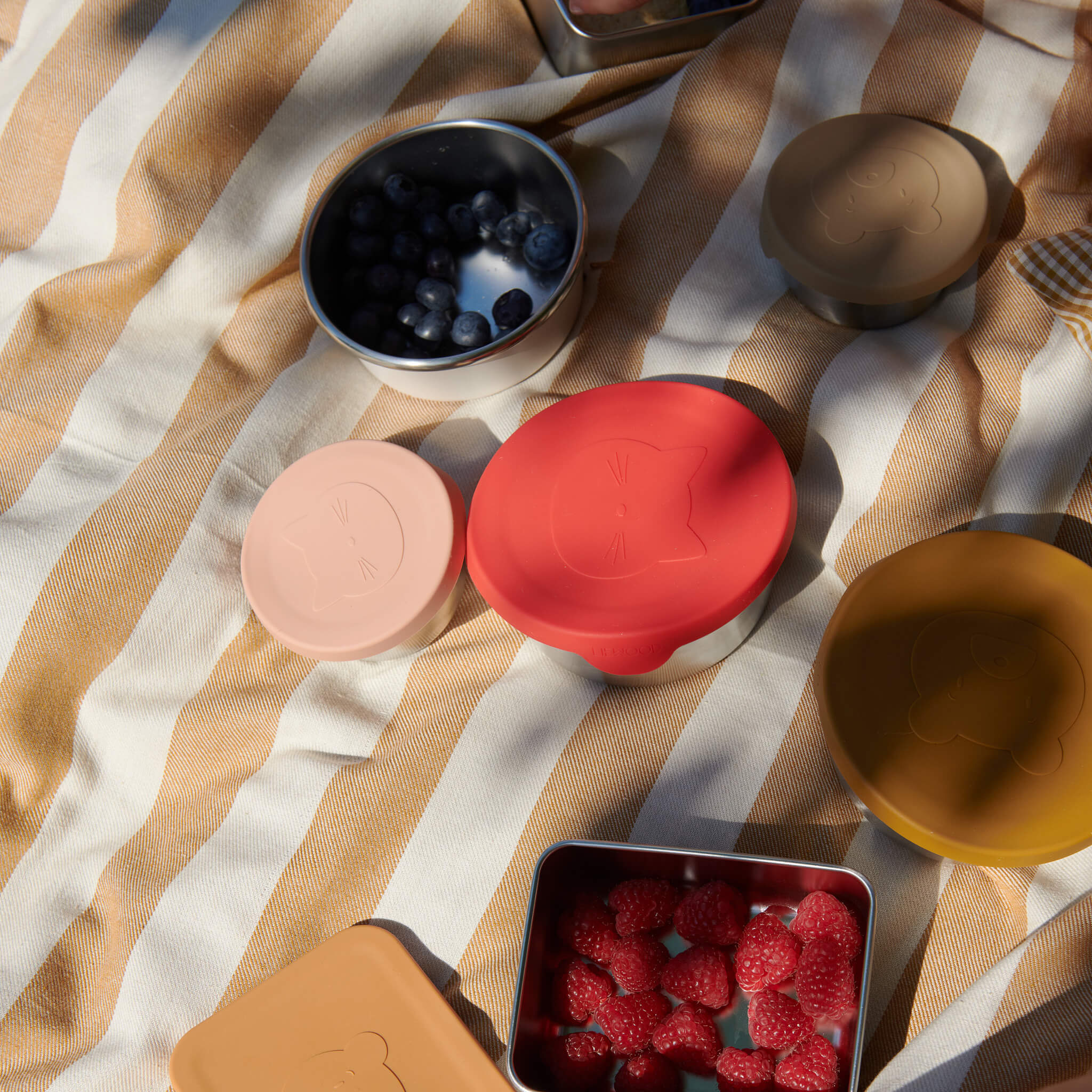 Fiby Snack Box Set - Apple/ Tuscany Rose