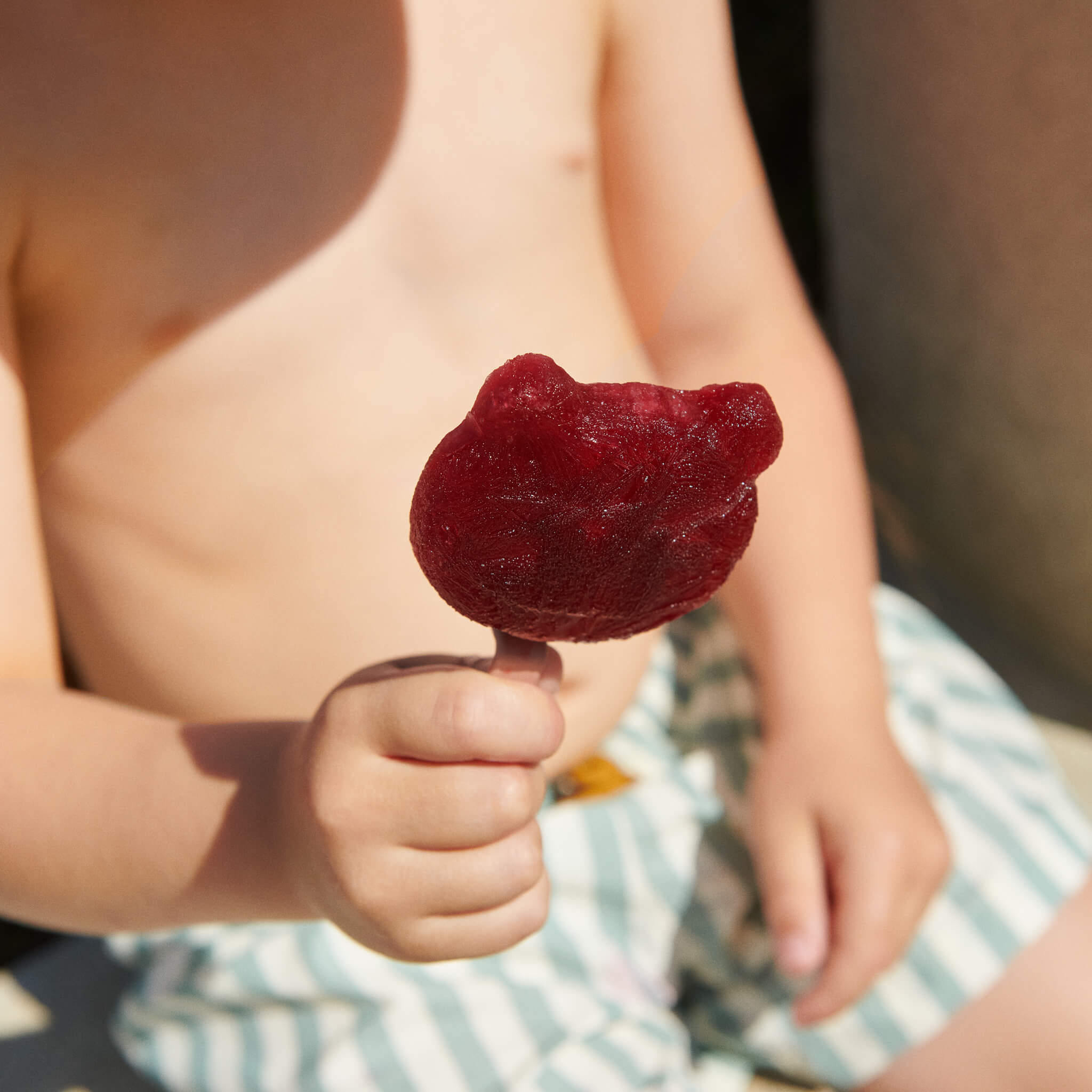 Manfred Ice Pops - Classic Sea Shell