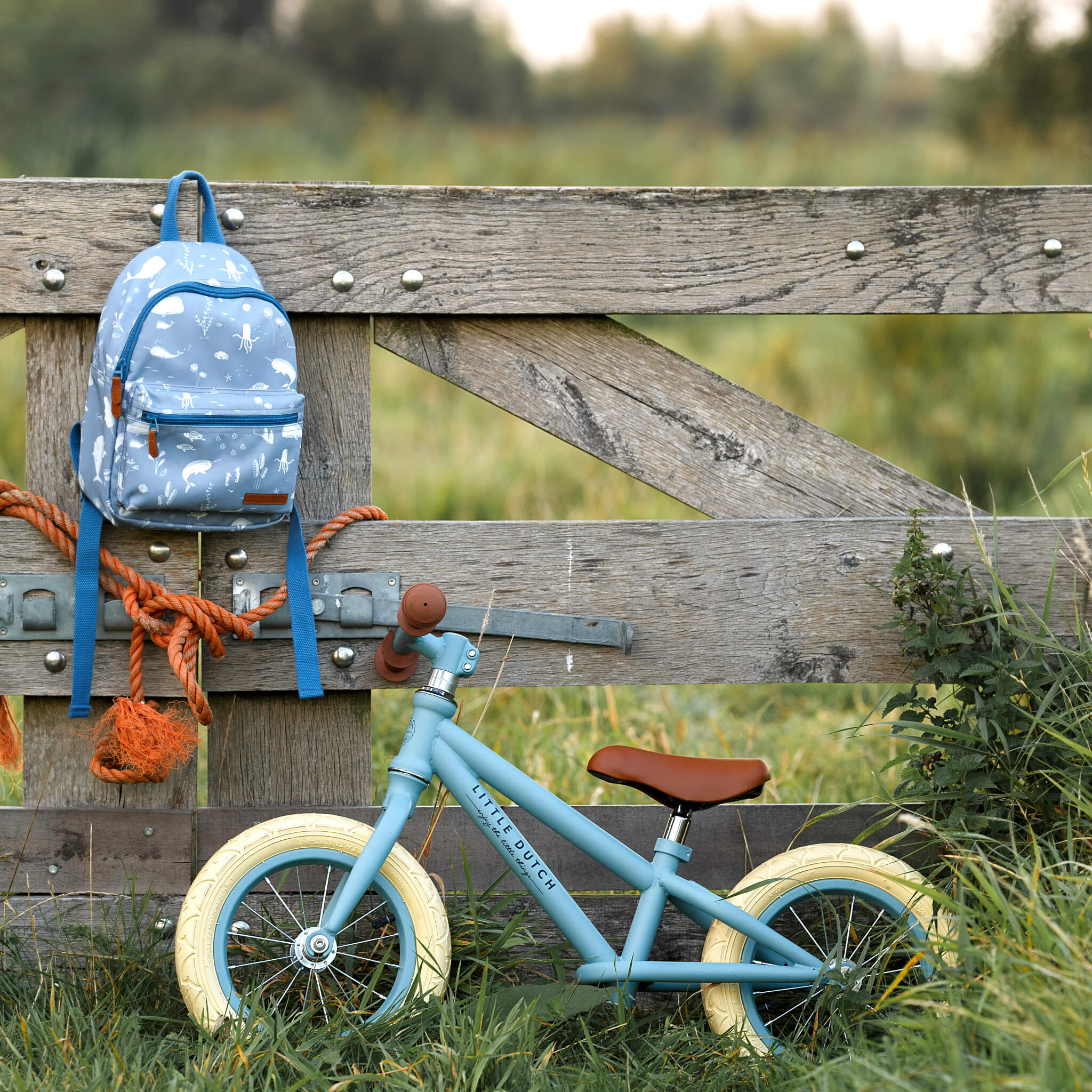 Little Dutch Balance Bike in Matte Blue