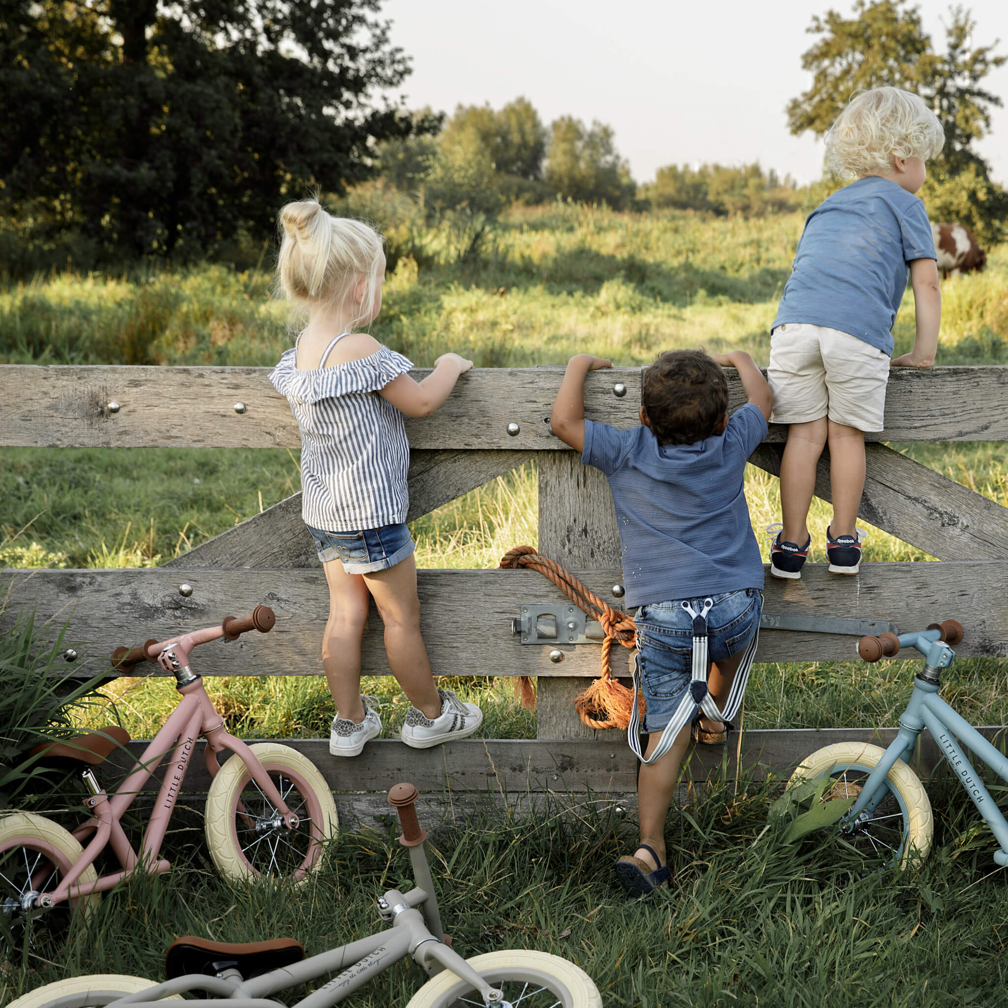 Little Dutch Balance Bike in Matte Blue