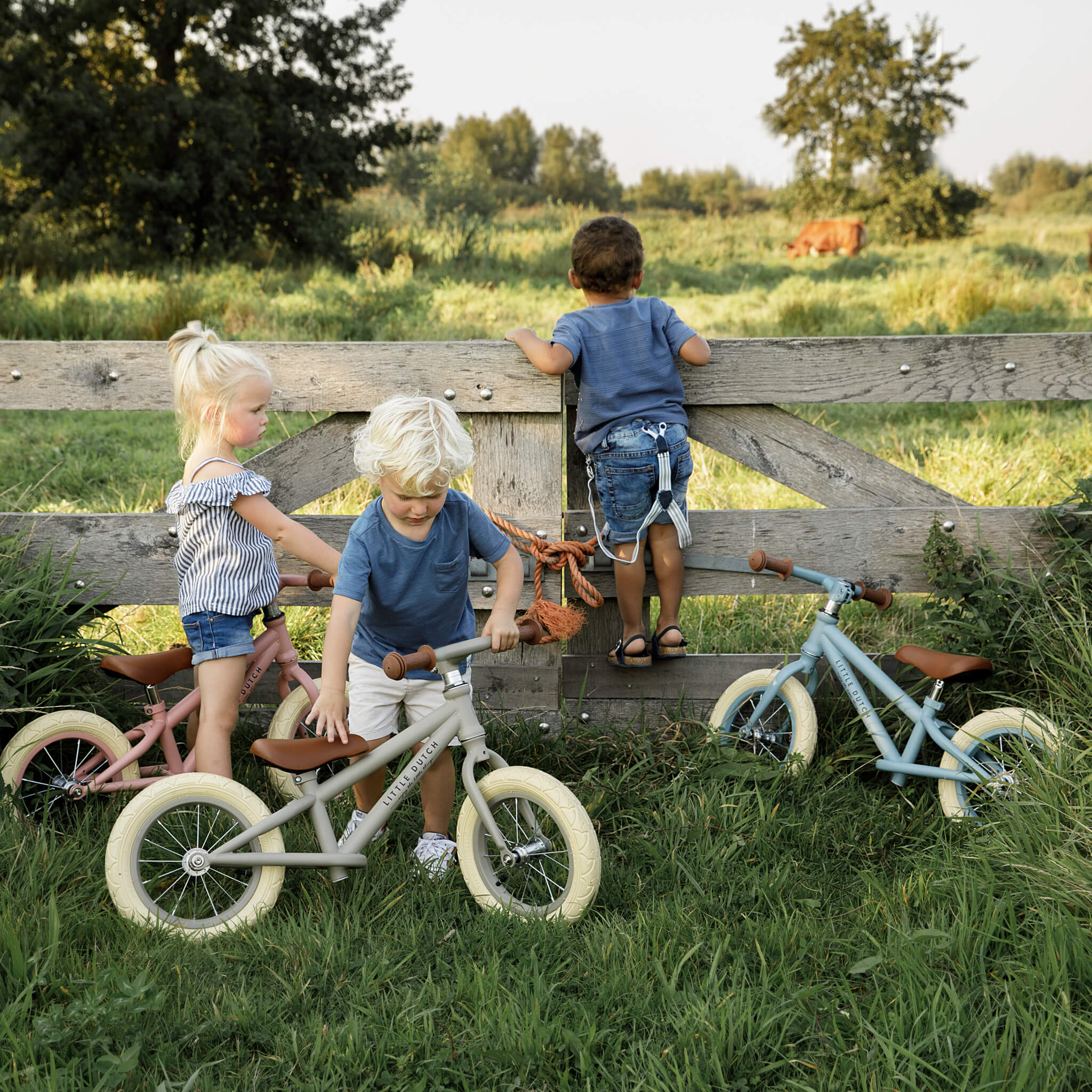 Dutch balance cheap bike