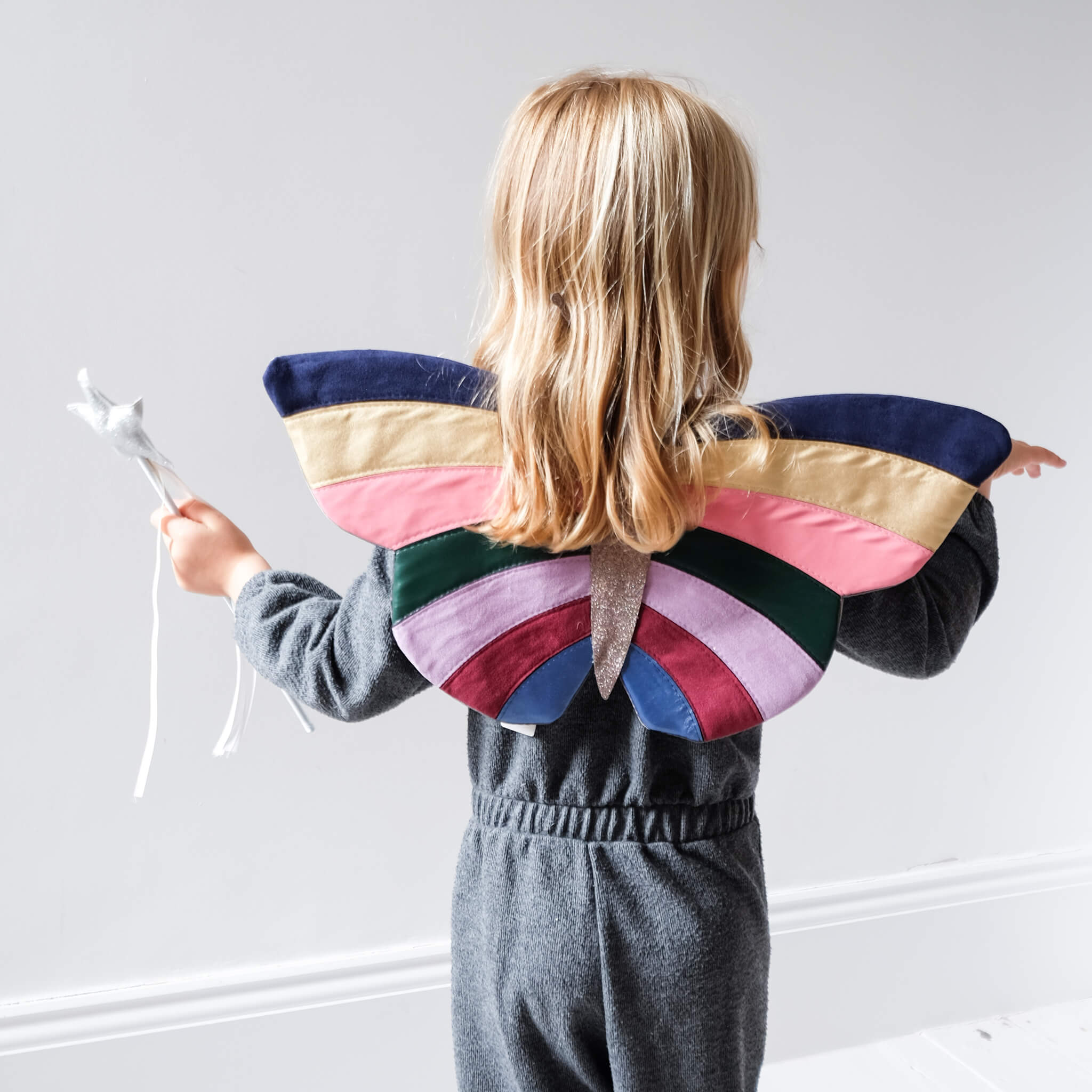Autumn Butterfly Wings