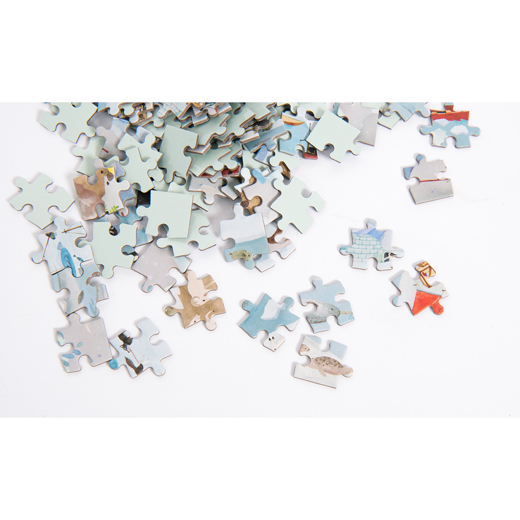 Explorers Puzzle - Arctic (96 piece)